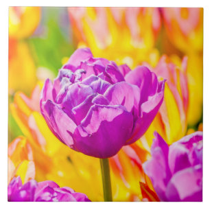 Azulejo De Cerâmica Tulipas Encantando 12