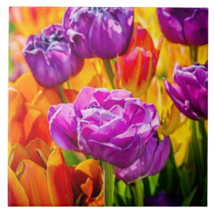 Azulejo De Cerâmica Tulipas Encantando 12a