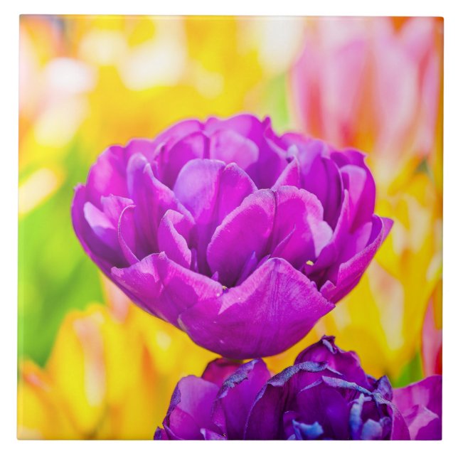 Azulejo De Cerâmica Tulipas Encantando 15 (Frente)