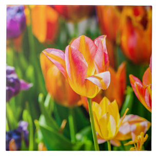 Azulejo De Cerâmica Tulipas Encantando 17