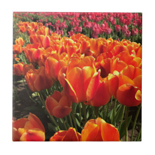 Azulejo De Cerâmica Tulipas laranja e vermelha