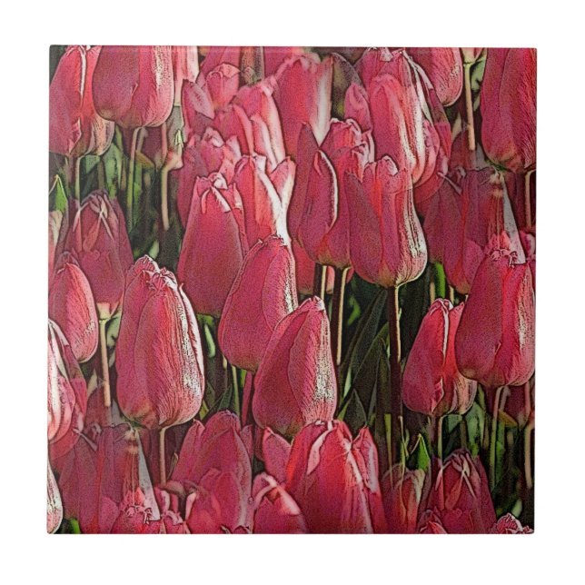 Azulejo De Cerâmica Tulipas Rosa Floral (Frente)