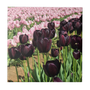 Azulejo De Cerâmica Tulipas Roxas Escuras e Rosa