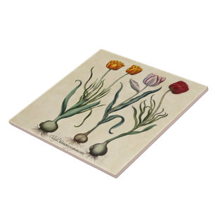 Azulejo De Cerâmica Tulipas Vintage Ilustração Amarelo Vermelho Cor-de