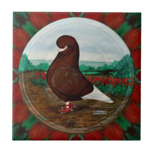 Azulejo De Cerâmica Tumbler Red Beard Pigeon