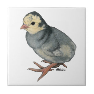 Azulejo De Cerâmica Turca Poult Blue Slate