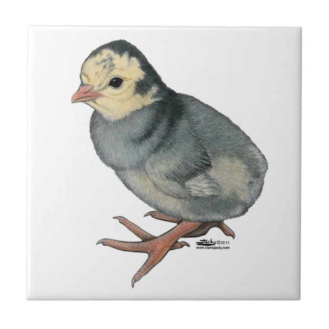 Azulejo De Cerâmica Turca Poult Blue Slate (Frente)