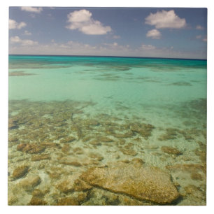 Azulejo De Cerâmica Turks e Caicos, Ilha Grand Turk, Cockburn 2