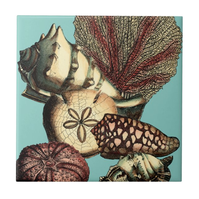 Azulejo De Cerâmica Turquesa Shell e Red Coral Collection (Frente)
