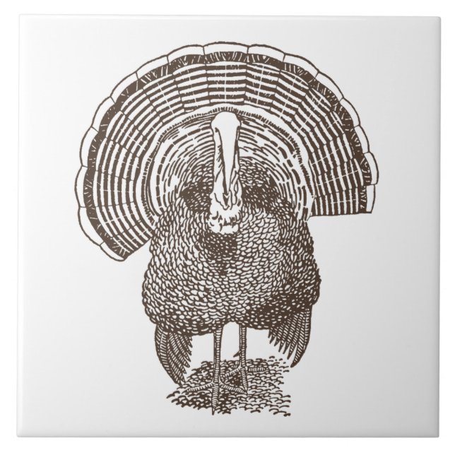 Azulejo De Cerâmica Turquia (Frente)