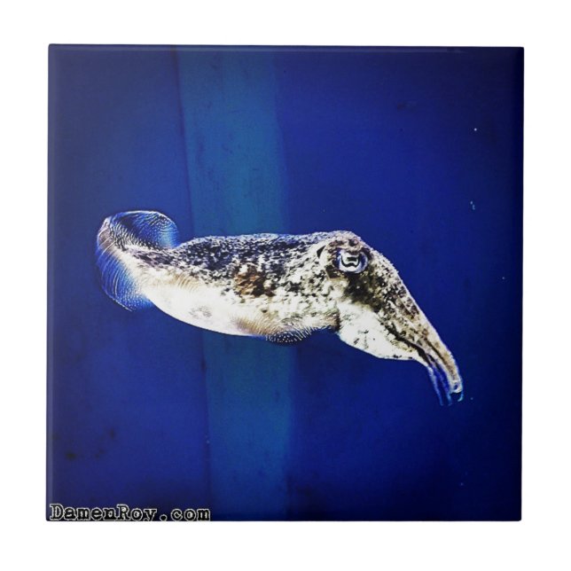 Azulejo De Cerâmica Tutlefish (Frente)