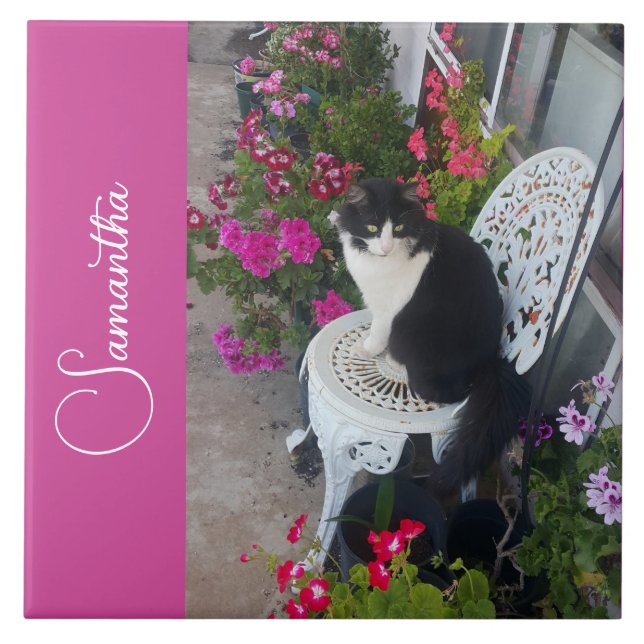 Azulejo De Cerâmica Tuxedo Cat Cats and Flowers Girls Name Dark Pink (Frente)