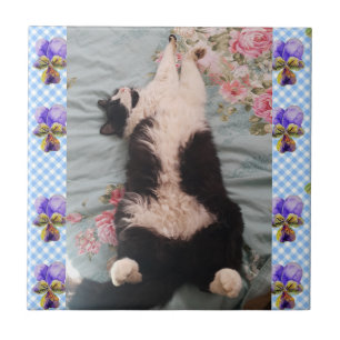 Azulejo De Cerâmica Tuxedo Cat Dormindo Engraçado Gatos Engraçados vio