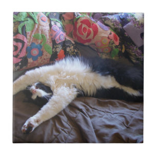 Azulejo De Cerâmica Tuxedo Cat Engraçado Onda Mexicana Cuja Noite De N