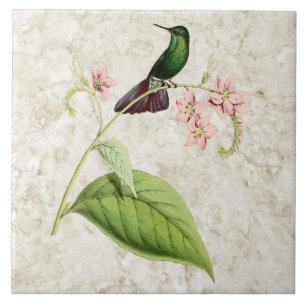 Azulejo de cerâmica Tyrian Metal Tail Hummingbird