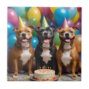 Azulejo De Cerâmica Um Aniversário Staffy Muito Feliz Com Bolo,