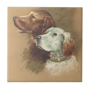 Azulejo De Cerâmica Um Brown e um cão branco