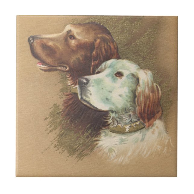 Azulejo De Cerâmica Um Brown e um cão branco (Frente)