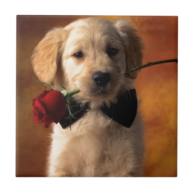 Azulejo De Cerâmica Um Cachorro Com Flor (Frente)