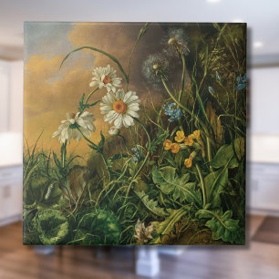 Azulejo De Cerâmica Um chão de floresta com margaridas, primroses, ...