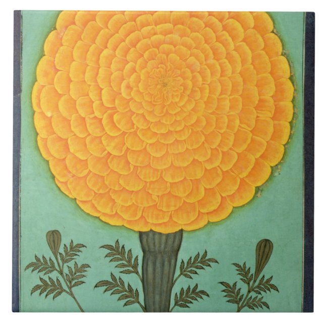 Azulejo De Cerâmica Um cravo-de-defunto, do álbum pequeno de Clive (Frente)