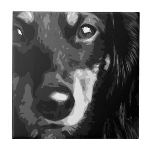 Azulejo De Cerâmica Um Dachshund diminuto preto e branco