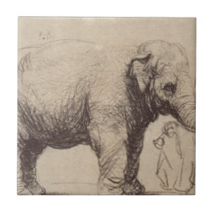 Azulejo De Cerâmica Um elefante por Rembrandt