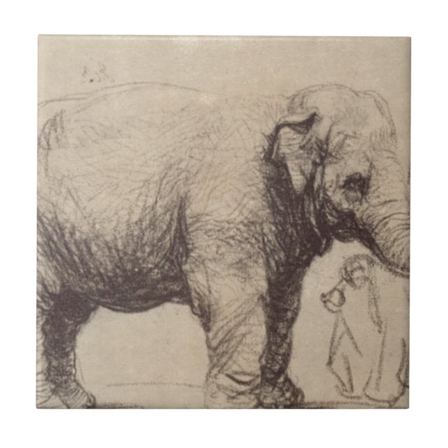 Azulejo De Cerâmica Um elefante por Rembrandt (Frente)