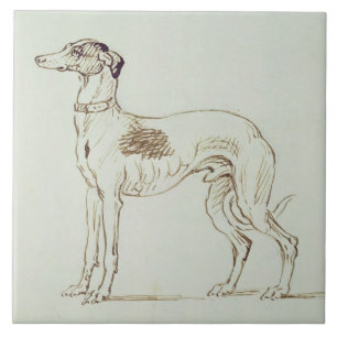 Azulejo De Cerâmica Um galgo, enfrentando à esquerda (caneta & tinta