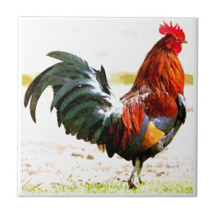 Azulejo De Cerâmica Um galo