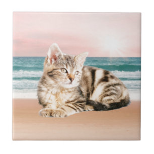 Azulejo De Cerâmica Um gato listrado mais fofo sentado na praia com o 