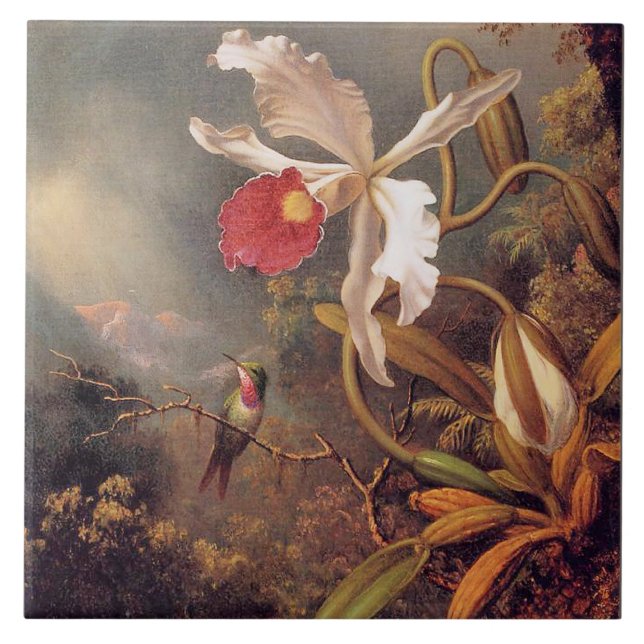 Azulejo De Cerâmica Um Hummingbird Ametista com Orquídea Branca (Frente)