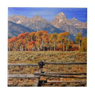 Azulejo De Cerâmica Um momento em Wyoming no outono