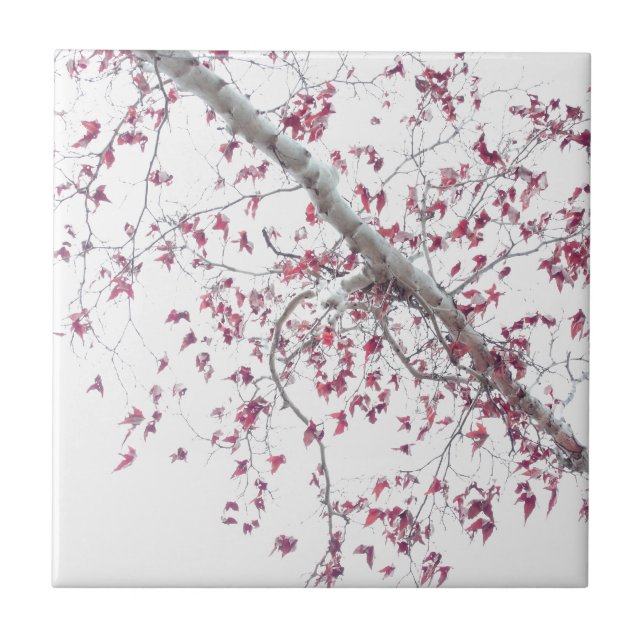 Azulejo De Cerâmica Um toque de folhas rosa (Frente)