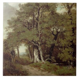 Azulejo De Cerâmica Um trajeto arborizado