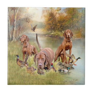 Azulejo De Cerâmica Um versátil aristocrata no Vizsla Húngaro