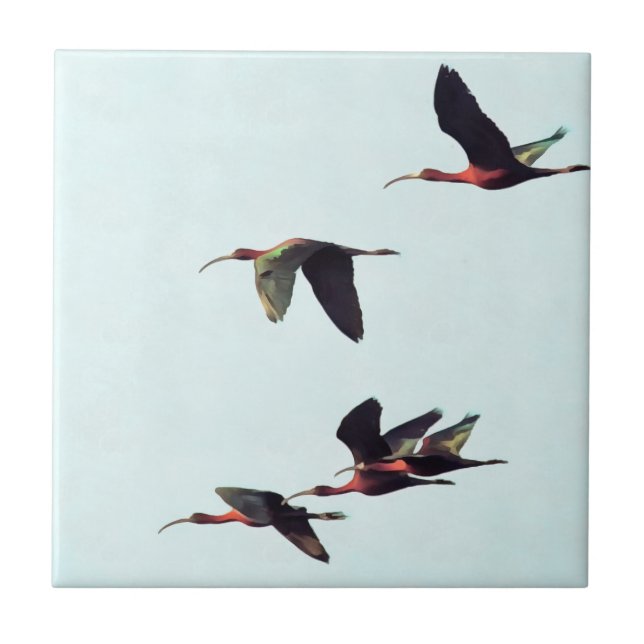 Azulejo De Cerâmica Uma borda de Ibises em Voo (Frente)