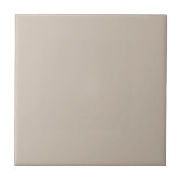 Azulejo De Cerâmica Uma cozinha e um banheiro beige Bungalow Square