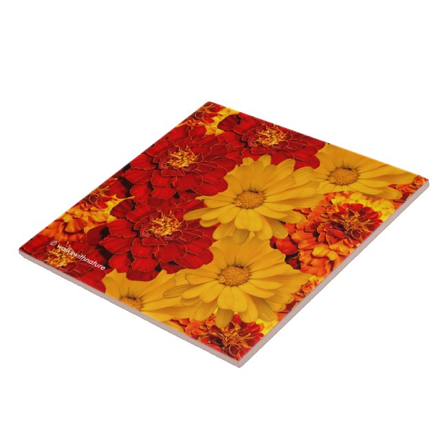 Azulejo De Cerâmica Uma Medalha de Marigolds Amarelo Vermelho e Laranj (Lateral)
