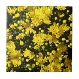 Azulejo De Cerâmica Uma multidão de Mães amarelas