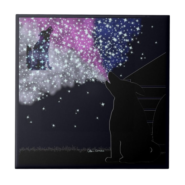 Azulejo De Cerâmica Uma noite de verão com Sirius (Frente)