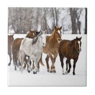 Azulejo De Cerâmica Uma paisagem de inverno de corrida