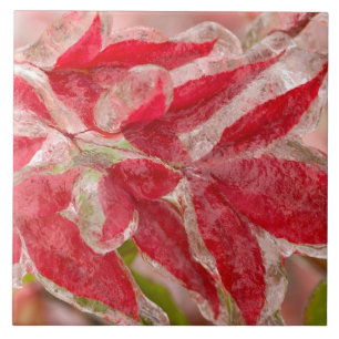 Azulejo De Cerâmica Uma tempestade de gelo de inverno cobrindo as folh