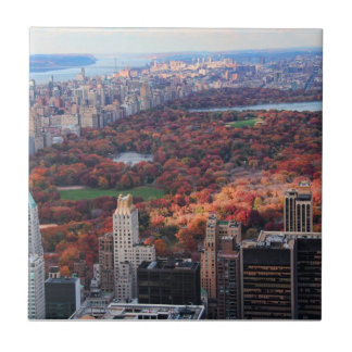 Azulejo De Cerâmica Uma visão de cima: Outono no Central Park 01