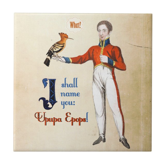 Azulejo De Cerâmica Upupa Epops (Frente)