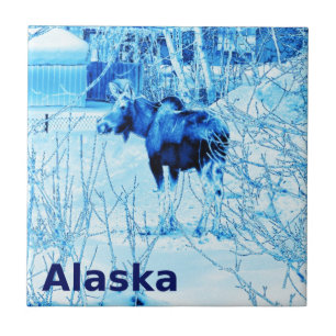 Azulejo De Cerâmica Urban Moose