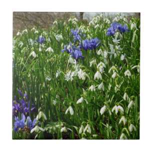 Azulejo De Cerâmica Urso da Paisagem das Flores da Primeira primavera