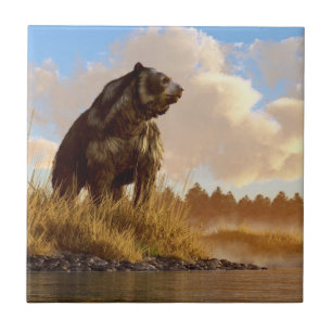 Azulejo De Cerâmica Urso enfrentado Short