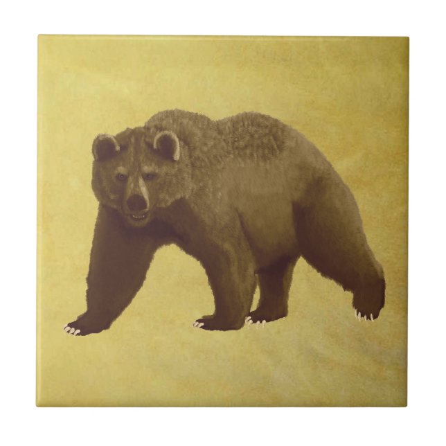 Azulejo De Cerâmica Urso Grizzly (Frente)