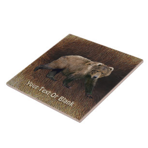 Azulejo De Cerâmica Urso Kodiak Com Peles De Caribu